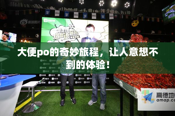 大便po的奇妙旅程，让人意想不到的体验！