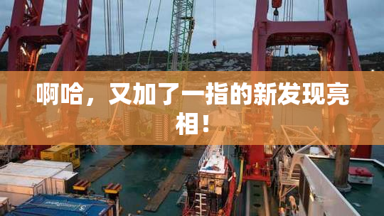 啊哈，又加了一指的新发现亮相！