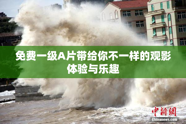 免费一级A片带给你不一样的观影体验与乐趣