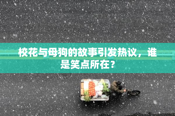 校花与母狗的故事引发热议，谁是笑点所在？