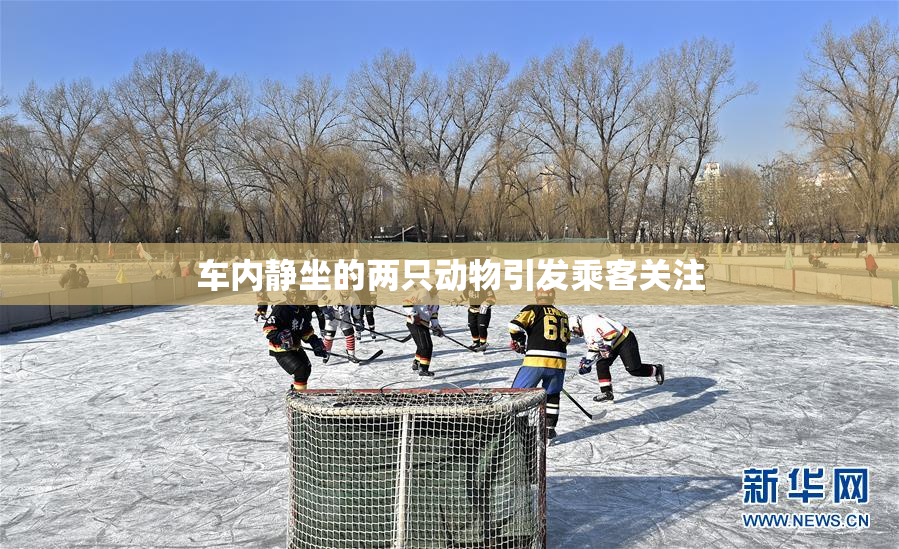 车内静坐的两只动物引发乘客关注