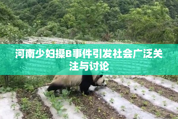 河南少妇搡B事件引发社会广泛关注与讨论
