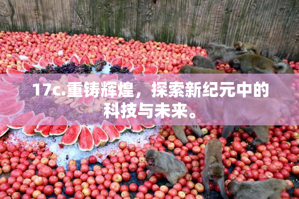17c.重铸辉煌，探索新纪元中的科技与未来。