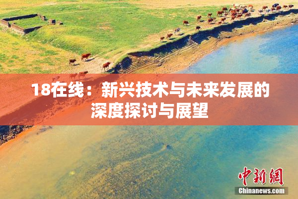 18在线：新兴技术与未来发展的深度探讨与展望