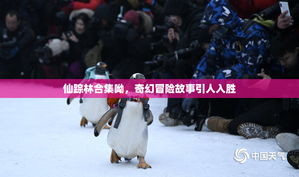 仙踪林合集呦，奇幻冒险故事引人入胜