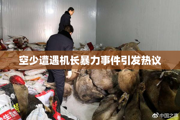 空少遭遇机长暴力事件引发热议