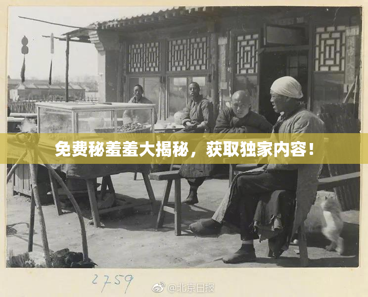 免费秘羞羞大揭秘，获取独家内容！