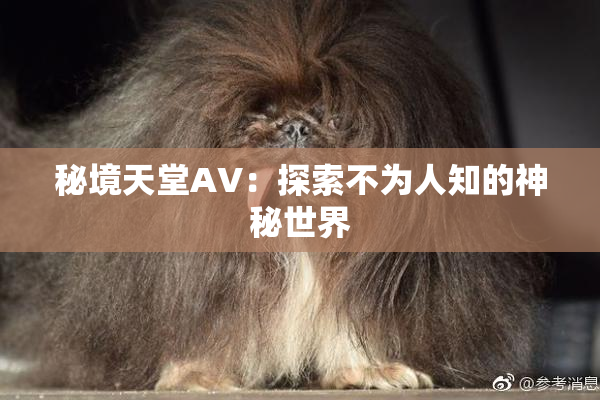秘境天堂AV：探索不为人知的神秘世界