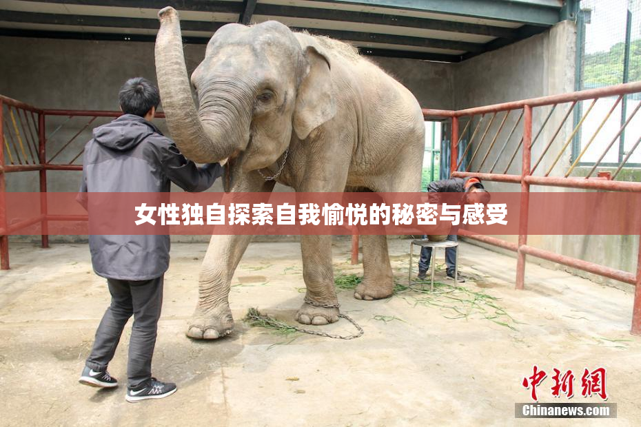 女性独自探索自我愉悦的秘密与感受