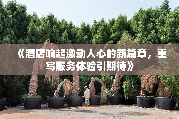《酒店响起激动人心的新篇章，重写服务体验引期待》