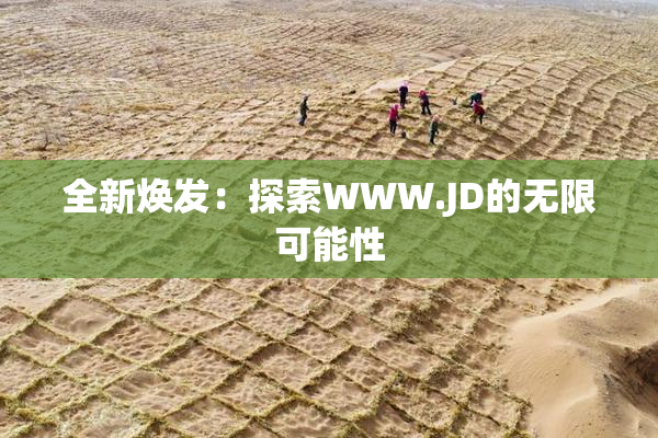 全新焕发：探索WWW.JD的无限可能性