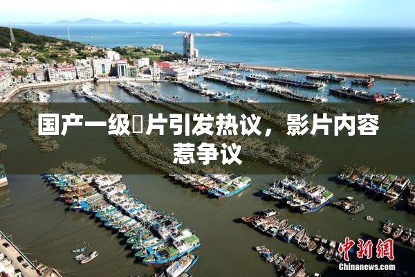 国产一级婬片引发热议，影片内容惹争议