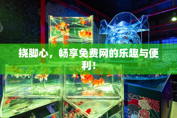 挠脚心，畅享免费网的乐趣与便利！