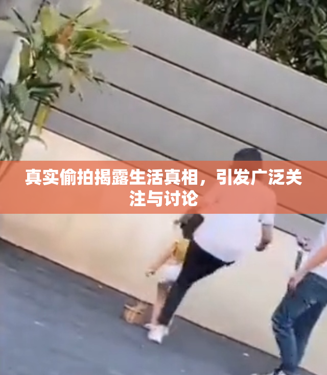 真实偷拍揭露生活真相，引发广泛关注与讨论