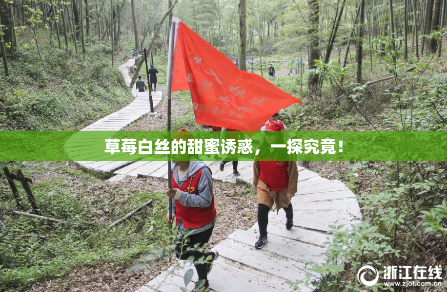 草莓白丝的甜蜜诱惑，一探究竟！