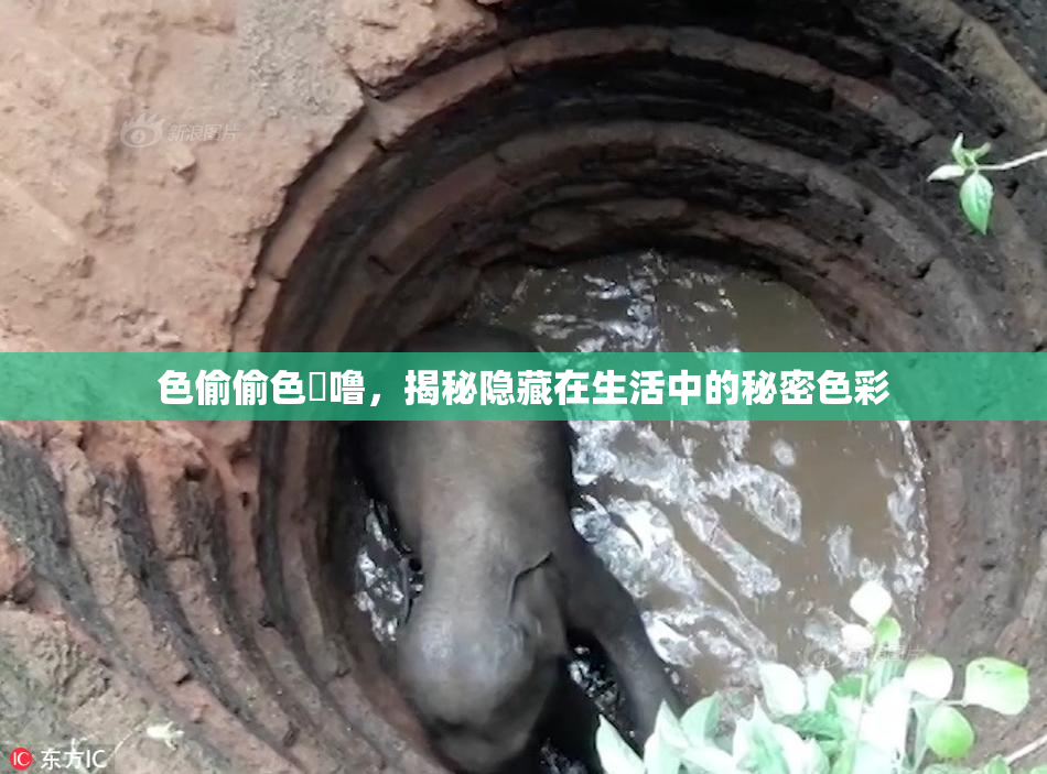 色偷偷色嚕噜，揭秘隐藏在生活中的秘密色彩