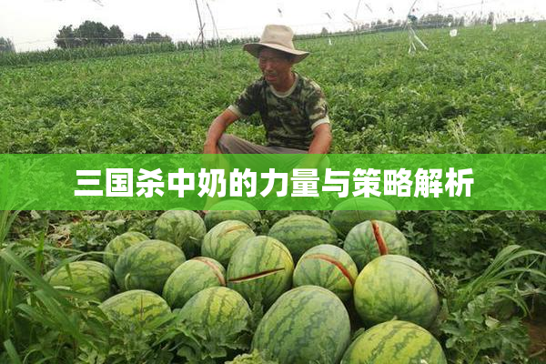 三国杀中奶的力量与策略解析