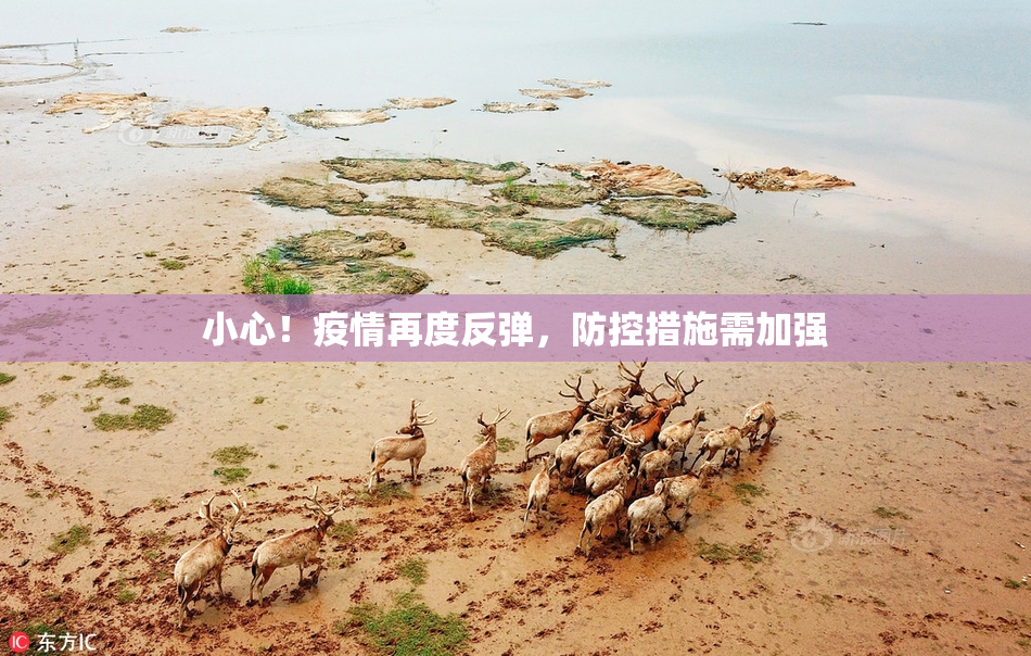 小心！疫情再度反弹，防控措施需加强