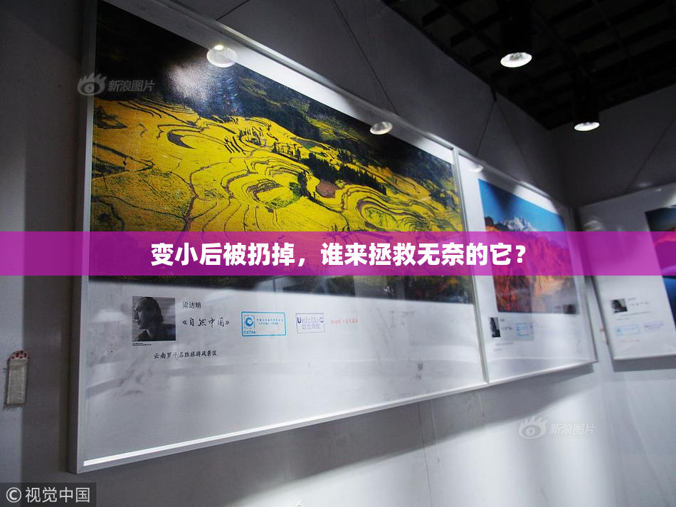 变小后被扔掉，谁来拯救无奈的它？