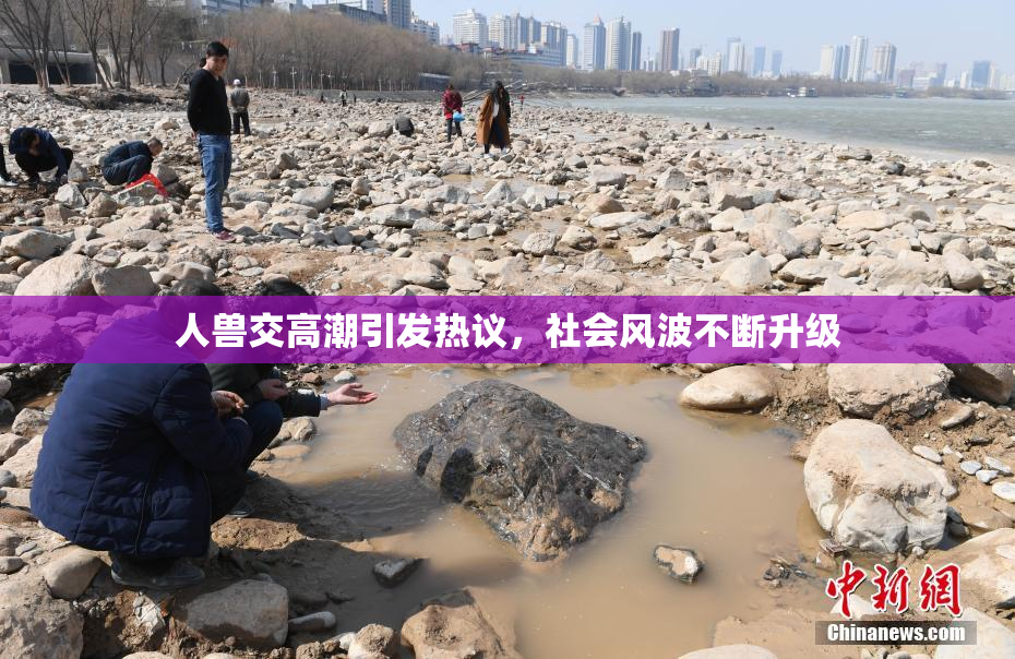 人兽交高潮引发热议，社会风波不断升级
