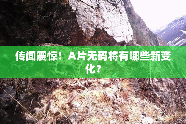 传闻震惊！A片无码将有哪些新变化？