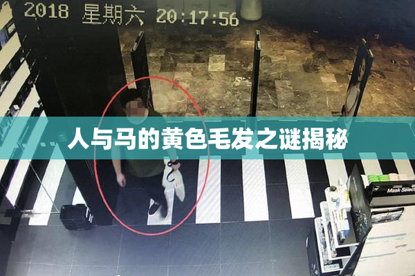 人与马的黄色毛发之谜揭秘
