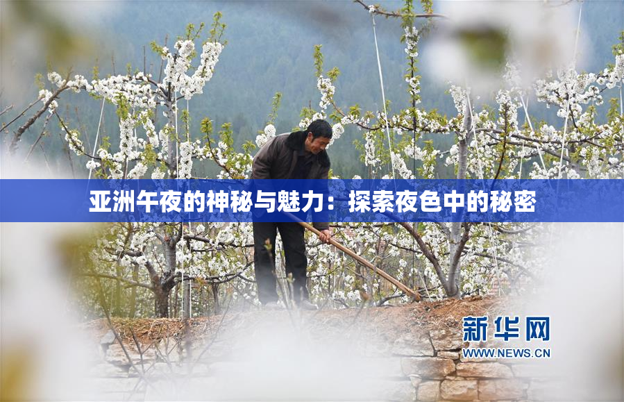 亚洲午夜的神秘与魅力：探索夜色中的秘密