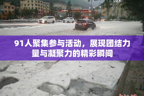 91人聚集参与活动，展现团结力量与凝聚力的精彩瞬间