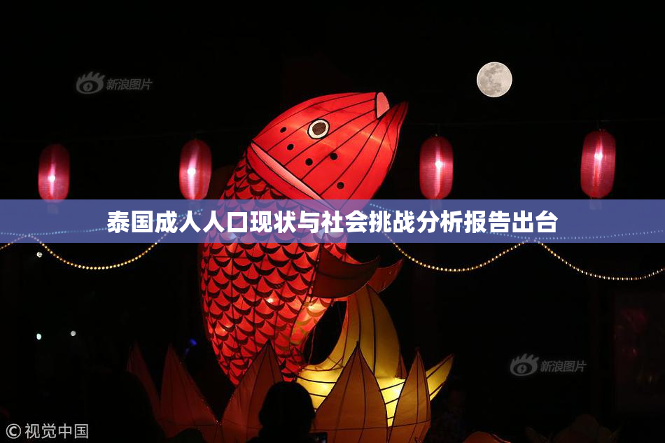 泰国成人人口现状与社会挑战分析报告出台