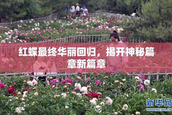红蝶最终华丽回归，揭开神秘篇章新篇章