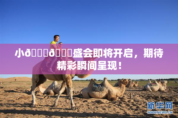 小🐔🐔盛会即将开启，期待精彩瞬间呈现！