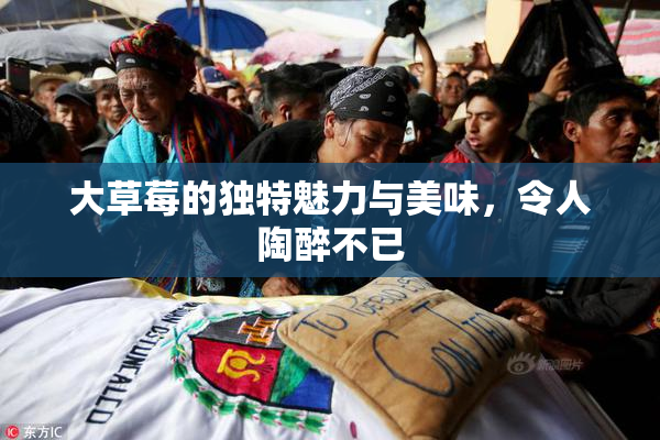 大草莓的独特魅力与美味，令人陶醉不已