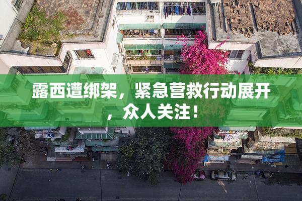 露西遭绑架，紧急营救行动展开，众人关注！