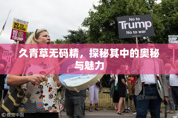 久青草无码精，探秘其中的奥秘与魅力