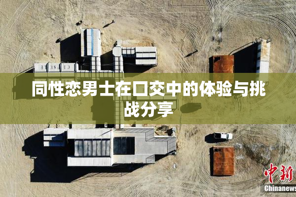 同性恋男士在囗交中的体验与挑战分享