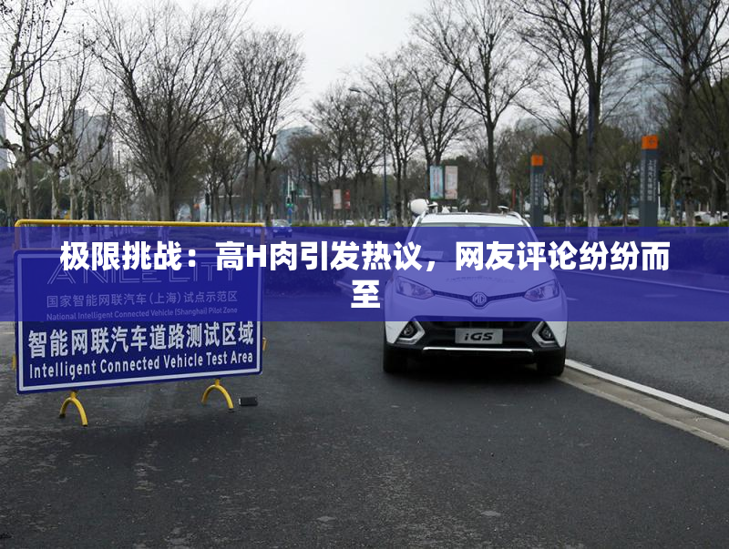 极限挑战：高H肉引发热议，网友评论纷纷而至