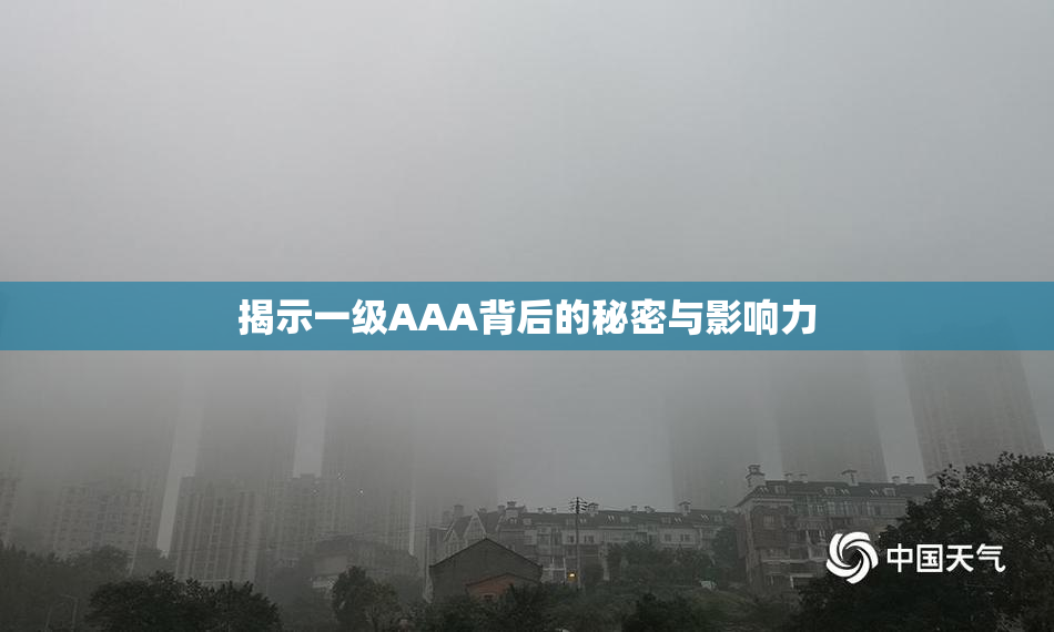 揭示一级AAA背后的秘密与影响力
