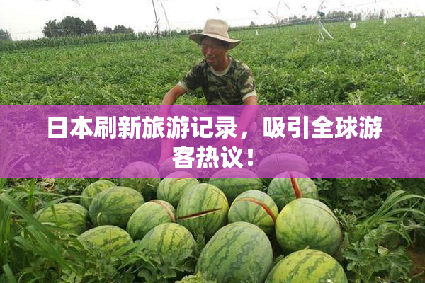 日本刷新旅游记录，吸引全球游客热议！