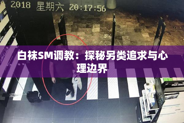 白袜SM调教：探秘另类追求与心理边界