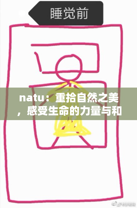 natu：重拾自然之美，感受生命的力量与和谐