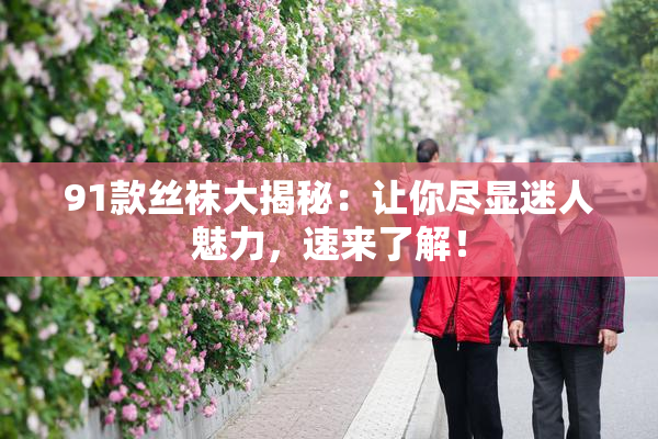 91款丝袜大揭秘：让你尽显迷人魅力，速来了解！
