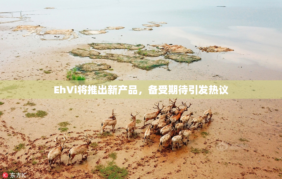 EhVi将推出新产品，备受期待引发热议
