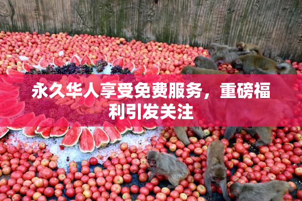 永久华人享受免费服务，重磅福利引发关注