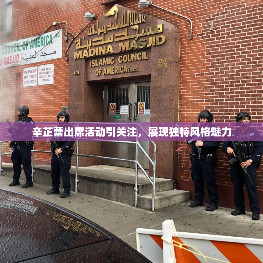 辛芷蕾出席活动引关注，展现独特风格魅力