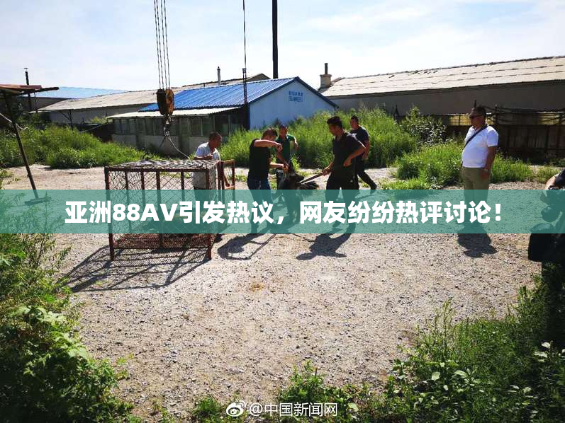 亚洲88AV引发热议，网友纷纷热评讨论！