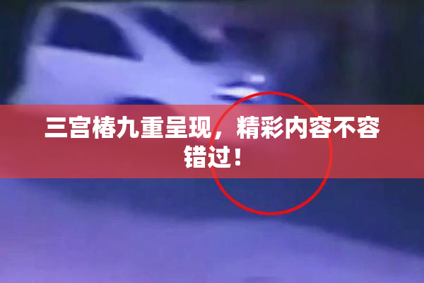 三宫椿九重呈现，精彩内容不容错过！