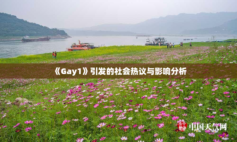 《Gay1》引发的社会热议与影响分析
