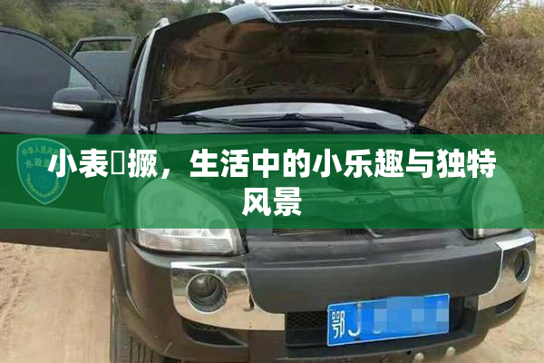 小表妺撅，生活中的小乐趣与独特风景