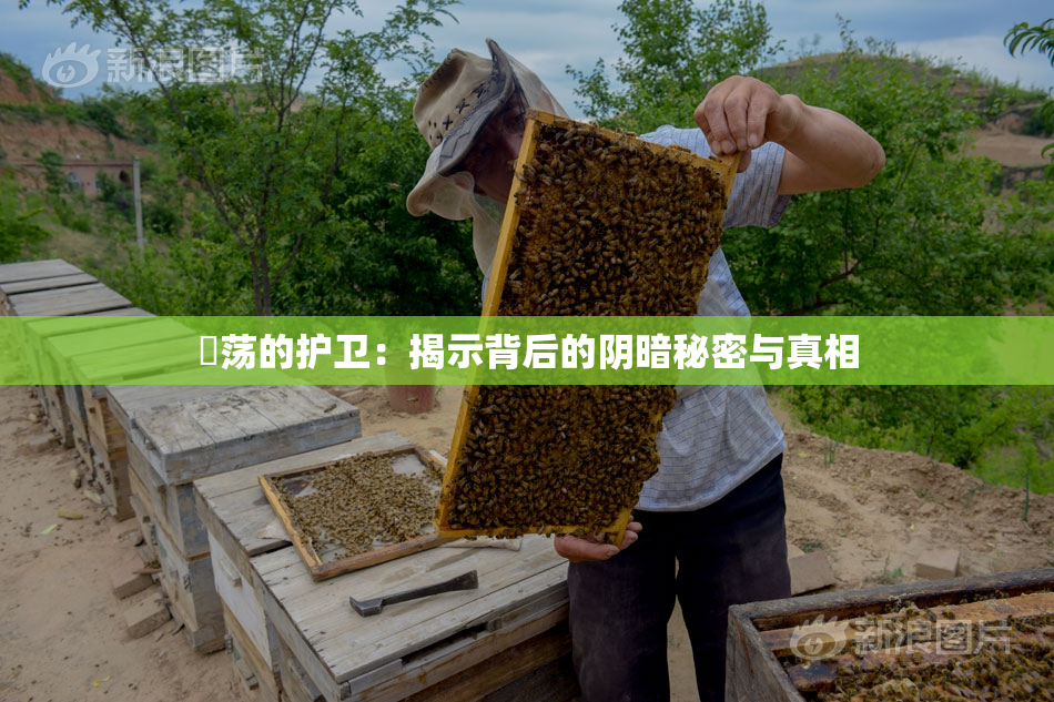 婬荡的护卫：揭示背后的阴暗秘密与真相