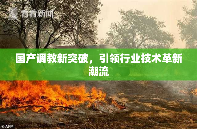 国产调教新突破，引领行业技术革新潮流
